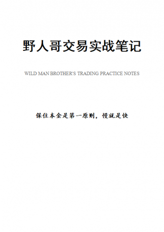 <strong>野人哥(全能的野人)---交易实战笔记2</strong>